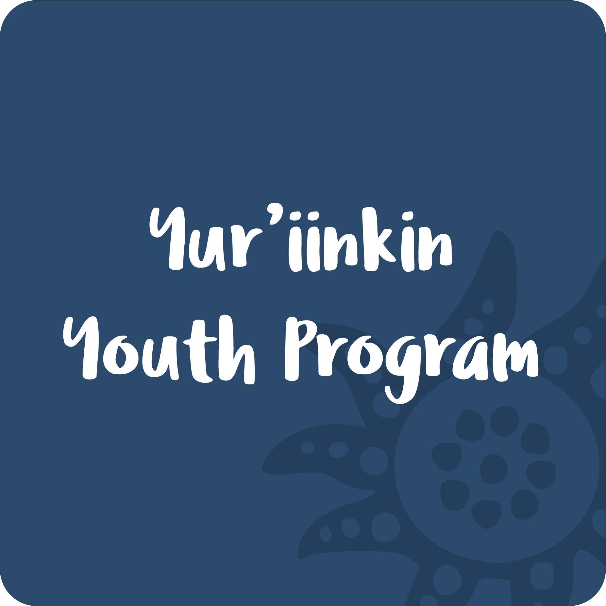 Youth, Employment & Training Kurbingui Youth & Family Development