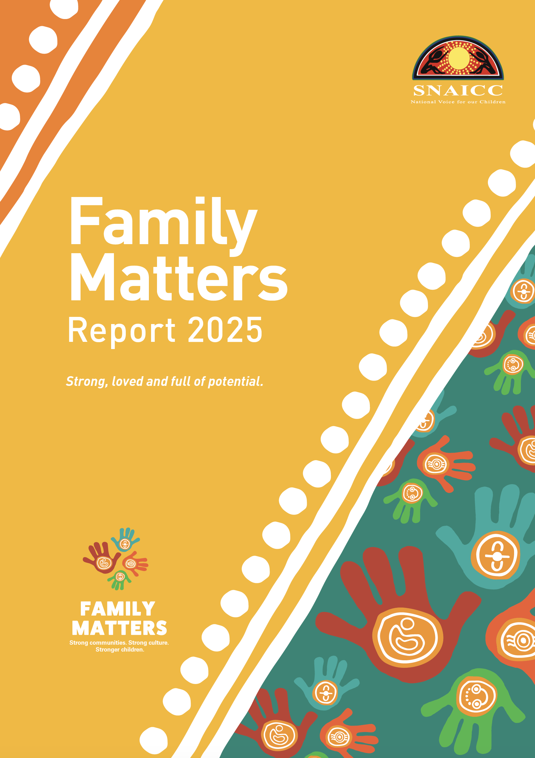 Family-Matters-Report-2025